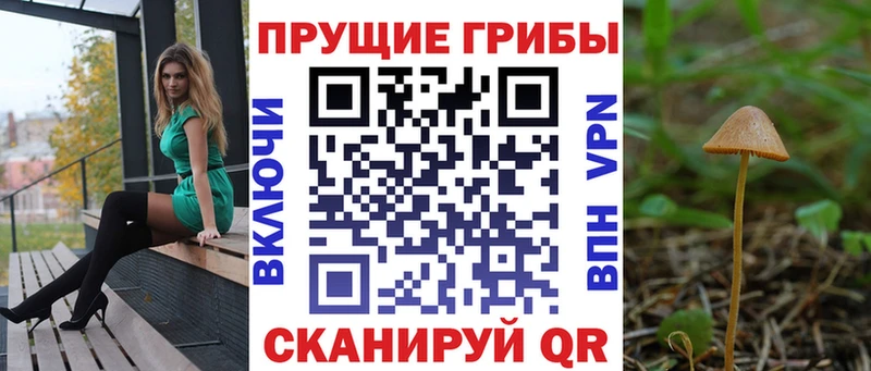 blacksprut как зайти где продают наркотики Кологрив Галлюциногенные грибы Magic Shrooms